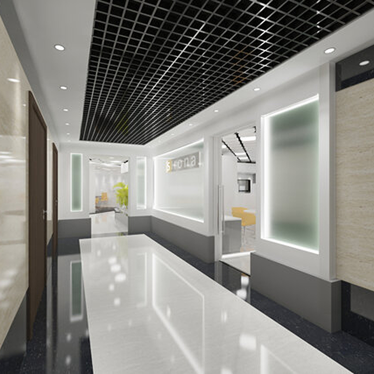 Sirona Luxury Office Interior RAW Design Project